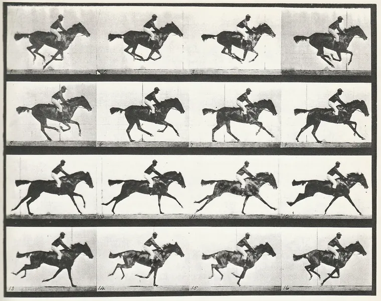 Eadweard Muybridge - 12FPS Logo - Creative Agency